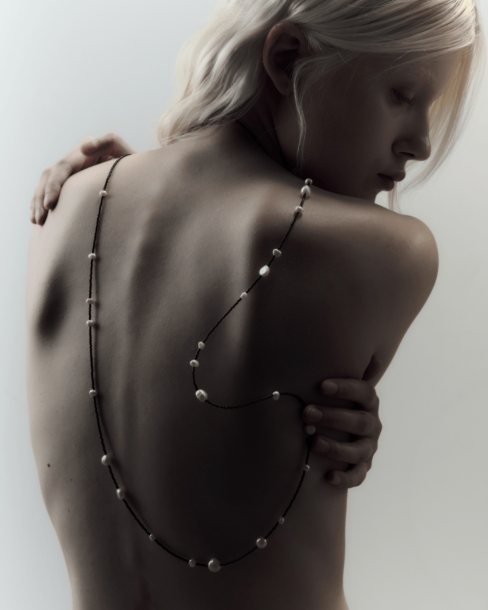 D I A    Y    N O C H E collection image